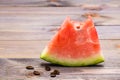 A bit of watermelon and watermelon seeds Royalty Free Stock Photo