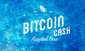 Bitcoin Accepted Here Retro Design White On Light Blue