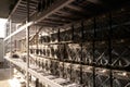 Bitcoin ASIC miners in warehouse. ASIC mining equipment on stand racks for mining cryptocurrency in steel container