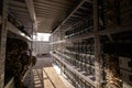 Bitcoin ASIC miners in warehouse. ASIC mining equipment on stand racks for mining cryptocurrency in steel container