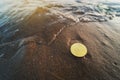 Bitcoin on the sand next to the water with copy space. Royalty Free Stock Photo