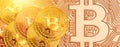 Bitcoin - bit coin BTC the new crypto currency Royalty Free Stock Photo