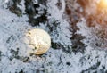 Bitcoin. Bitcoin on golden snow, in the background. The concept of freelancing, the stock exchange. winter day