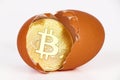 Bitcoin in broken egg.