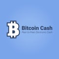 Bitcoin cash flat icon with title isolated on blue background.