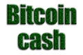 Bitcoin cash. The inscription has a texture of the photography, which depicts the green binary code