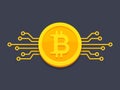 Bitcoin with circuit board icon Royalty Free Stock Photo