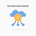 Bitcoin Cloud Server icon flat.