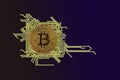 Bitcoin coin on a circuit board background