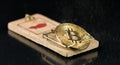 Bitcoin coin falling on a mouse trap Royalty Free Stock Photo