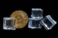 Bitcoin coin among ice cubes in drops of water on a black background