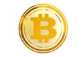 Bitcoin Coin Isolated
