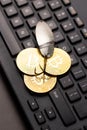 Bitcoin coins on a hook over the keyboard. Concept catching money, money scam, cryptology scam