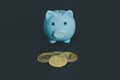 Bitcoin coins placed beside the blue piggy bank with Dark background