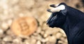 Bitcoin crypto Bull market concept