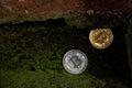 Bitcoin and crypto cryptocurrency crackdown and price crash and FUD concept. Bitcoin coins in cracked dark wall concrete.