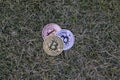 Bitcoin crypto currency cions laying in a grass Royalty Free Stock Photo