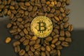 Bitcoin cryptocurrency coin as payment currency surrounded with coffee beans Royalty Free Stock Photo