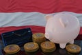 Bitcoin and cryptocurrency investing. Austria flag in background. Piggy bank, the of saving concept. Mobile application for