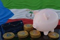 Bitcoin and cryptocurrency investing. Equatorial Guinean flag in background. Piggy bank, the of saving concept. Mobile application