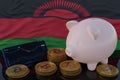 Bitcoin and cryptocurrency investing. Malawi flag in background. Piggy bank, the of saving concept. Mobile application for trading Royalty Free Stock Photo