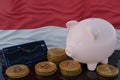 Bitcoin and cryptocurrency investing. Monaco flag in background. Piggy bank, the of saving concept. Mobile application for trading