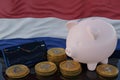 Bitcoin and cryptocurrency investing. Netherlands flag in background. Piggy bank, the of saving concept. Mobile application for