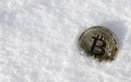 Bitcoin. Cryptocurrency on snow, in the background. The concept of freelancing, the stock exchange. Gold bitcoin on cold