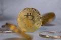 bitcoin cryptocurrency,Stock Market Concept. macro shot, gold virtual money, Technology, business, trading stock market concept