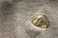 Bitcoin currency seen partially buried in Silicon Sand together with a One Dollar Banknote. Royalty Free Stock Photo