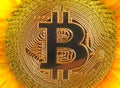 Bitcoin digital cryptocurrency sunflower