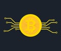 Bitcoin digital currency icon with circuit board elements. Vector illustration in flat style on a blue background Royalty Free Stock Photo