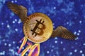 Bitcoin e-cryptocurrency with wings flies in blue sky with clouds, peer-to-peer payment system, concept of rise and fall of course