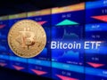 Bitcoin ETF offers investors a simple and regulated way to trade the price of Bitcoin in the financial markets. Display stock