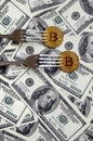 Bitcoin getting New Hard Fork Change, Physical Golden Crytocurrency Coin under the fork on the dollars background. Blockchain Tra