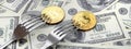 Bitcoin getting New Hard Fork Change, Physical Golden Crytocurrency Coin under the fork on the dollars background. Blockchain Tra