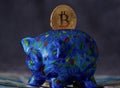 Bitcoin getting into piggy bank