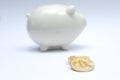 Bitcoin gold coin and defocused piggy bank, moneybox. Virtual cryptocurrency