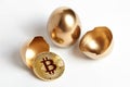 Bitcoin gold coin in golden egg shell.  Broken egg on white back Royalty Free Stock Photo