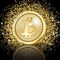 Bitcoin Golden Coins on glitter dust