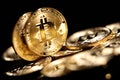 Bitcoin Royalty Free Stock Photo