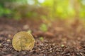 Bitcoin in ground. Mining Golden Bitcoins concept