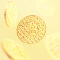 Bitcoin many coin levitate 2