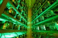 Bitcoin miners in large farm. ASIC mining equipment on stand racks mine cryptocurrency in steel container. Blockchain