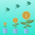 Bitcoin money flowers set with watering cans. Decorative plants in pots on a blue background. Vector illustration.