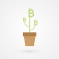 Bitcoin money tree. Financial growth concept. Vector illustration, flat design Royalty Free Stock Photo