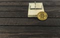 Bitcoin in mouse trap, financial trap concept. Royalty Free Stock Photo