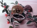 Bitcoin with open Walnut and berries