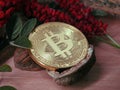 Bitcoin in an open nutshell