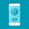 Bitcoin payment accepting service vector concept in flat style